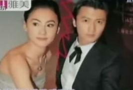 明星视频在线观看,在线观看热门视频，尽享星光熠熠